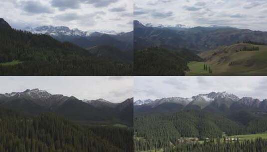 4k航拍 新疆江布拉克 雪山草原山林风光高清在线视频素材下载
