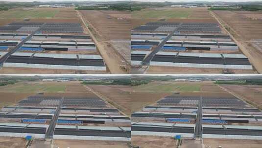 航拍农业大棚田园景观高清在线视频素材下载