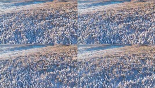 秋日雪后山林秋雪雾凇银装素裹高清在线视频素材下载