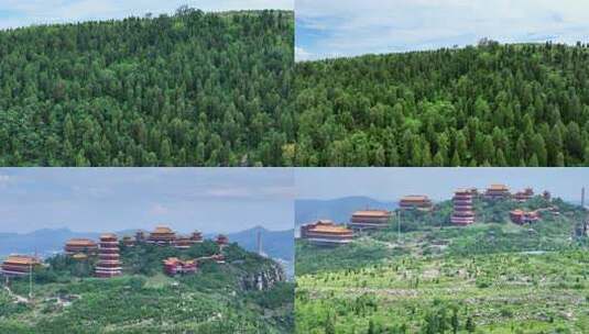 航拍枣庄峄城大光明寺旱地拔葱高清在线视频素材下载