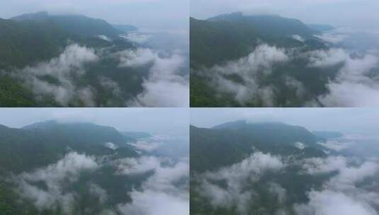 航拍广东茂名信宜云开山石镬坳山间云海高清在线视频素材下载