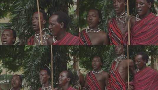 非洲坦桑尼亚色非洲马赛人穿传统服装跳舞唱歌高清在线视频素材下载