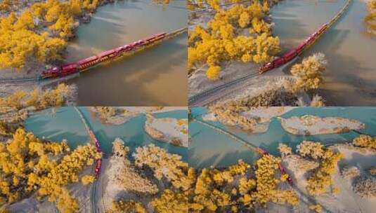 额济纳胡杨林小火车内蒙古风景秋天胡杨高清在线视频素材下载