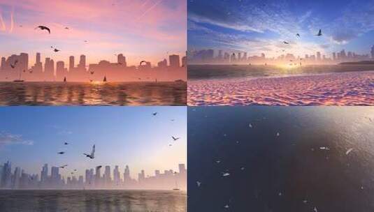 城市海滩上飞行的海鸥高清在线视频素材下载