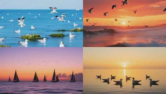 大海海鸥翱翔碧海蓝天飞鸟高清在线视频素材下载