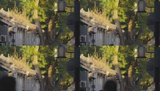 北京胡同民居夕阳秋天思绪情绪高清在线视频素材下载