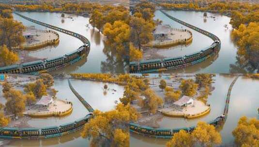 额济纳胡杨林小火车内蒙古风景秋天胡杨高清在线视频素材下载