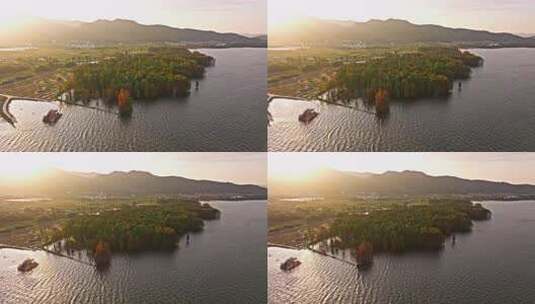中国浙江宁波四明湖水杉林秋天风景航拍高清在线视频素材下载