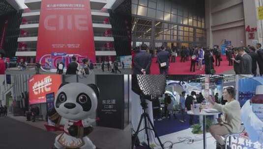 2025上海进博会视频合集高清在线视频素材下载