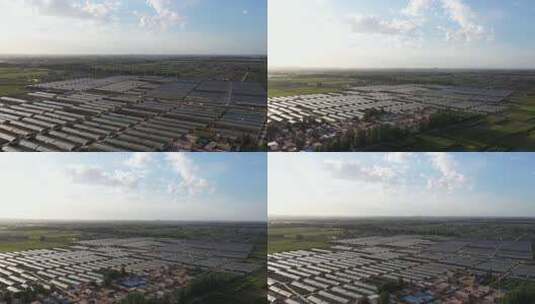 航拍蔬菜大棚 菜篮子 乡村振兴 温室大棚高清在线视频素材下载