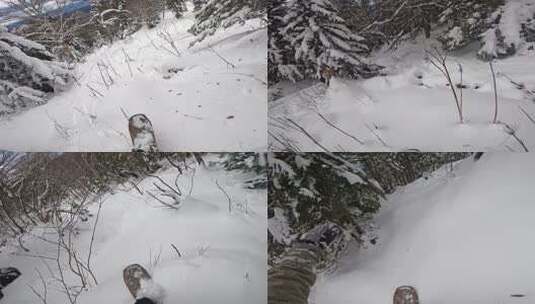 山地滑雪滑板滑雪滑雪第一视觉滑雪场蓝天云高清在线视频素材下载