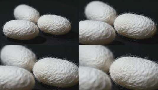 蚕茧缫丝破茧成蝶概念质感特写视频高清在线视频素材下载