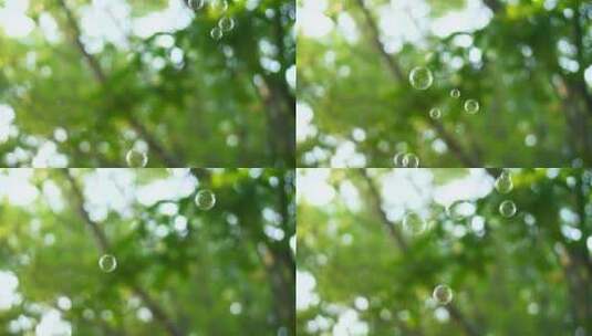 树林里的泡泡唯美空镜高清在线视频素材下载