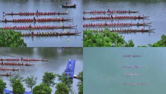 航拍广州端午节海珠湿地公园扒龙舟赛高清在线视频素材下载