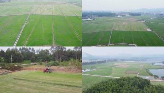 草皮草坪种植基地高清在线视频素材下载