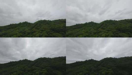 森林云层延时高清在线视频素材下载
