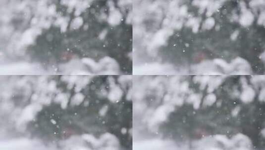 下雪、下雪天、雪高清在线视频素材下载