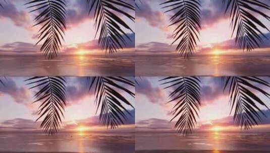 海滩日落棕榈树椰子树海边旅行渡假高清在线视频素材下载