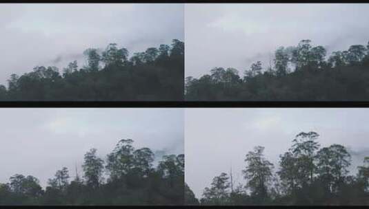 航拍的迷雾森林景观高清在线视频素材下载