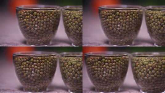 各种绿豆 (4)高清在线视频素材下载