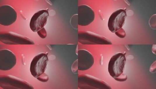 病毒 细胞 细菌 红细胞 癌症 肿瘤高清在线视频素材下载