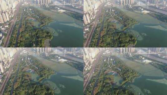 航拍湖北武汉月湖风景区高清在线视频素材下载
