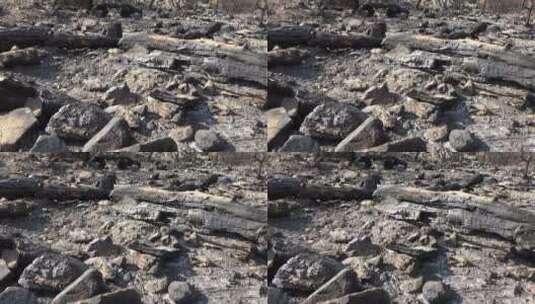 烧毁的森林和灰烬高清在线视频素材下载