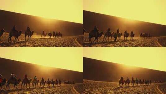 新疆沙丘沙漠骆驼队高清在线视频素材下载