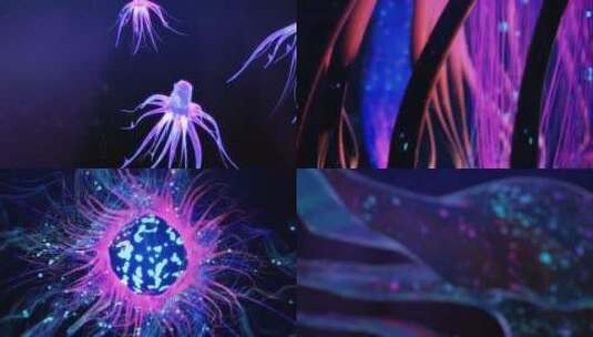 海底的霓虹世界高清在线视频素材下载