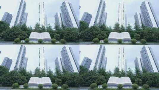 武汉天兴洲大桥桥南公园高清在线视频素材下载