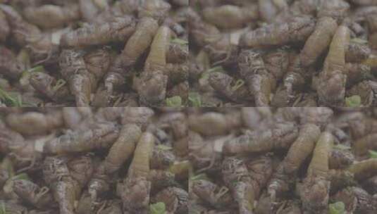 雄蚕蛾做菜LOG高清在线视频素材下载