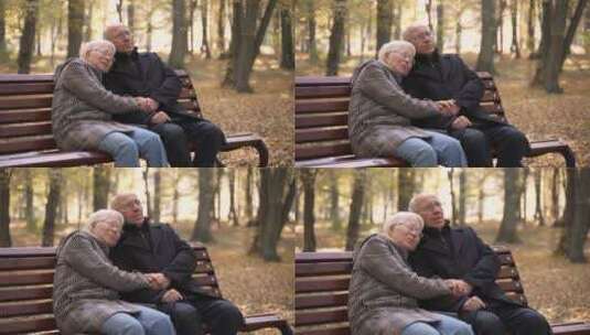 秋季老年夫妇手拉手坐在公园长凳聊天高清在线视频素材下载