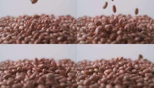 农业芸豆豆类种子视频高清在线视频素材下载