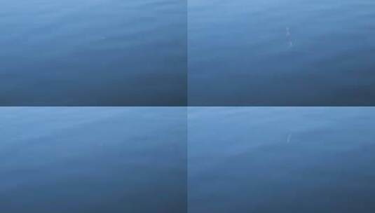 唯美意境流水，波光凌凌的水面高清在线视频素材下载