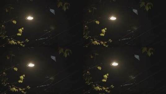 上海夜景空镜 固定镜头高清在线视频素材下载