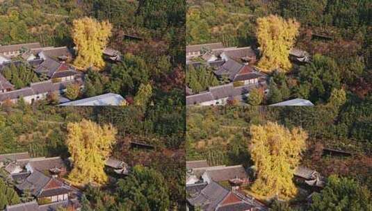 陕西西安古观音禅寺秋景高清在线视频素材下载