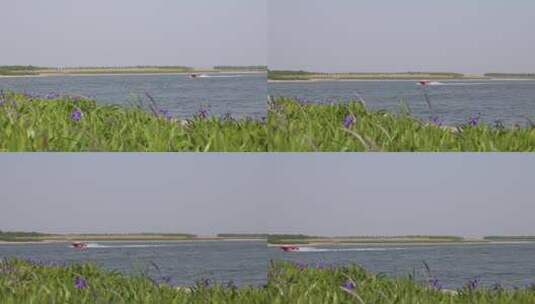 海上旅游观光度假的快艇驶过 前景是绿植高清在线视频素材下载