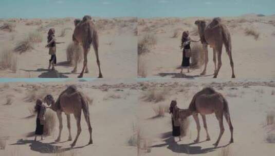沙漠骑骆驼 骆驼高清在线视频素材下载