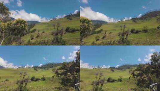 哥伦比亚棕榈树郁郁葱葱的可可拉山谷全景高清在线视频素材下载