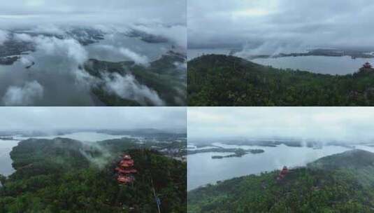 【多镜头】湖北武汉东湖湿地云海4K航拍高清在线视频素材下载