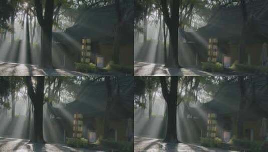 早晨阳光透过树木洒在寺庙上丁达尔效应高清在线视频素材下载