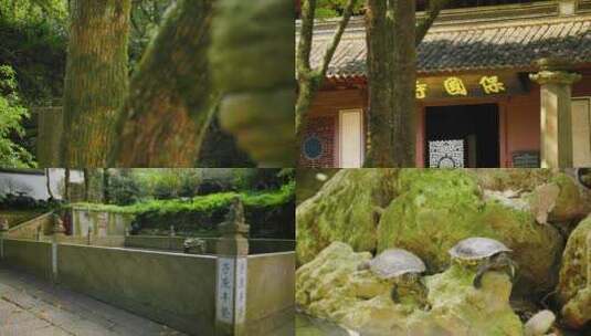 浙江宁波保国寺—天王殿高清在线视频素材下载