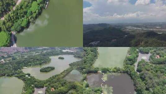 大夫山森林公园航拍原素材高清在线视频素材下载