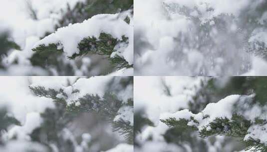 冬天下雪唯美雪景松树枝头被雪覆盖高清在线视频素材下载