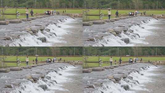 相机高清摄柏临河湿地公园南岸10高清在线视频素材下载