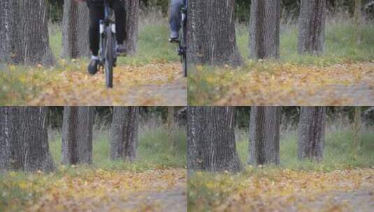 在满是秋天落叶的小路上骑行高清在线视频素材下载