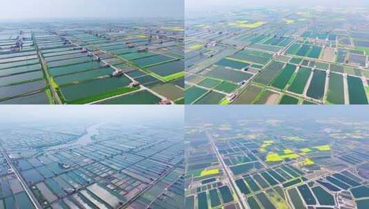 湖北鱼米之乡水产养殖基地航拍高清在线视频素材下载
