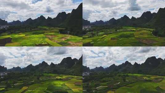 延时-广西桂林阳朔十里画廊遇龙河稻田高清在线视频素材下载