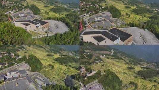 航拍浙江丽水云和梯田 秋天丰收的金色稻田高清在线视频素材下载