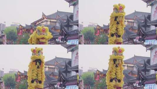 4K千年文化传承街头艺术的舞狮表演高清在线视频素材下载